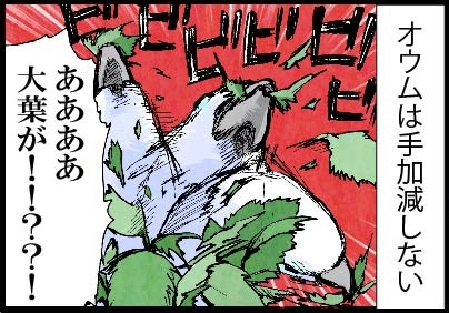 いたずらオウムの生活雑記　漫画