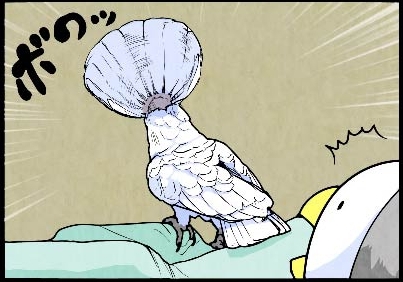 いたずらオウムの生活雑記　漫画