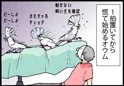 いたずらオウムの生活雑記　漫画