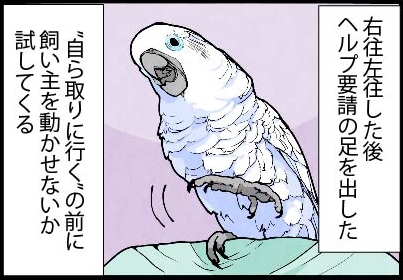 いたずらオウムの生活雑記　漫画