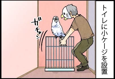 いたずらオウムの生活雑記　漫画