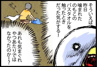 いたずらオウムの生活雑記　漫画