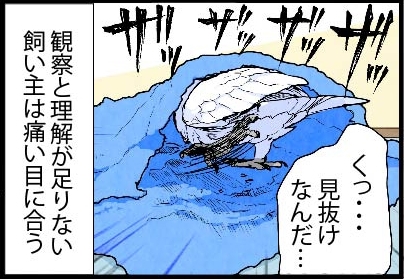 いたずらオウムの生活雑記　漫画