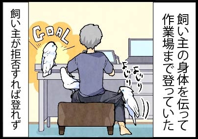 いたずらオウムの生活雑記　漫画