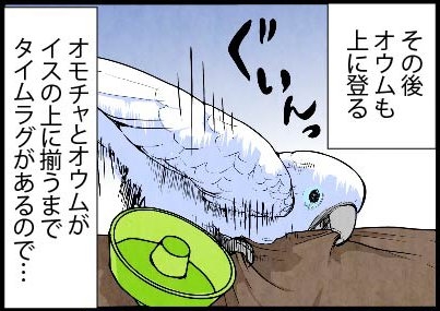 いたずらオウムの生活雑記　漫画