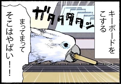 いたずらオウムの生活雑記　漫画