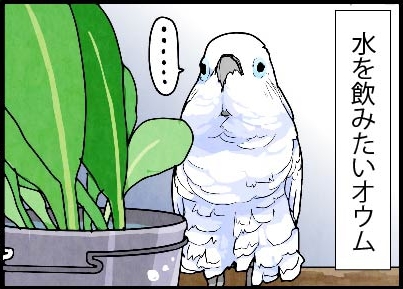 いたずらオウムの生活雑記　漫画