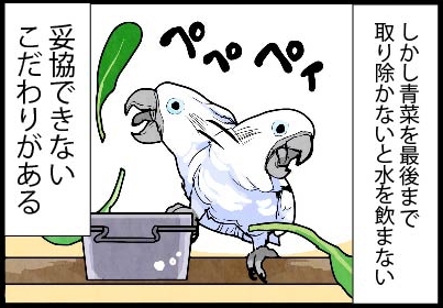 いたずらオウムの生活雑記　漫画