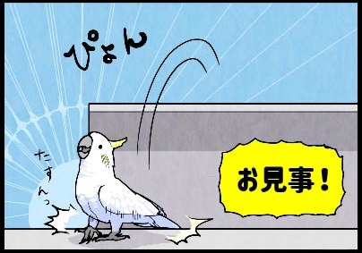 いたずらオウムの生活雑記　漫画