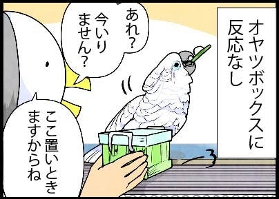 漫画 いたずらオウムの生活雑記 937 オヤツの儀式 マイナビニュース