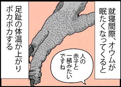 漫画 いたずらオウムの生活雑記 945 オネムの行動 マイナビニュース