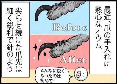 漫画 いたずらオウムの生活雑記 950 尖らせた爪 マイナビニュース