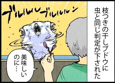 漫画 いたずらオウムの生活雑記 956 干しブドウが虫に マイナビニュース