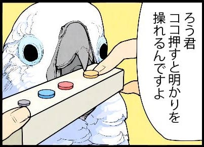 漫画 いたずらオウムの生活雑記 960 光を操る方法 マイナビニュース