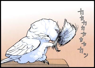 漫画 いたずらオウムの生活雑記 963 抜け羽ファッション マイナビニュース