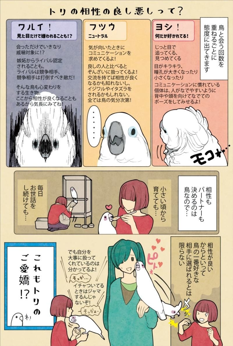 漫画 いたずらオウムの生活雑記 977 番外編 トリの相性の良し悪しって マイナビニュース