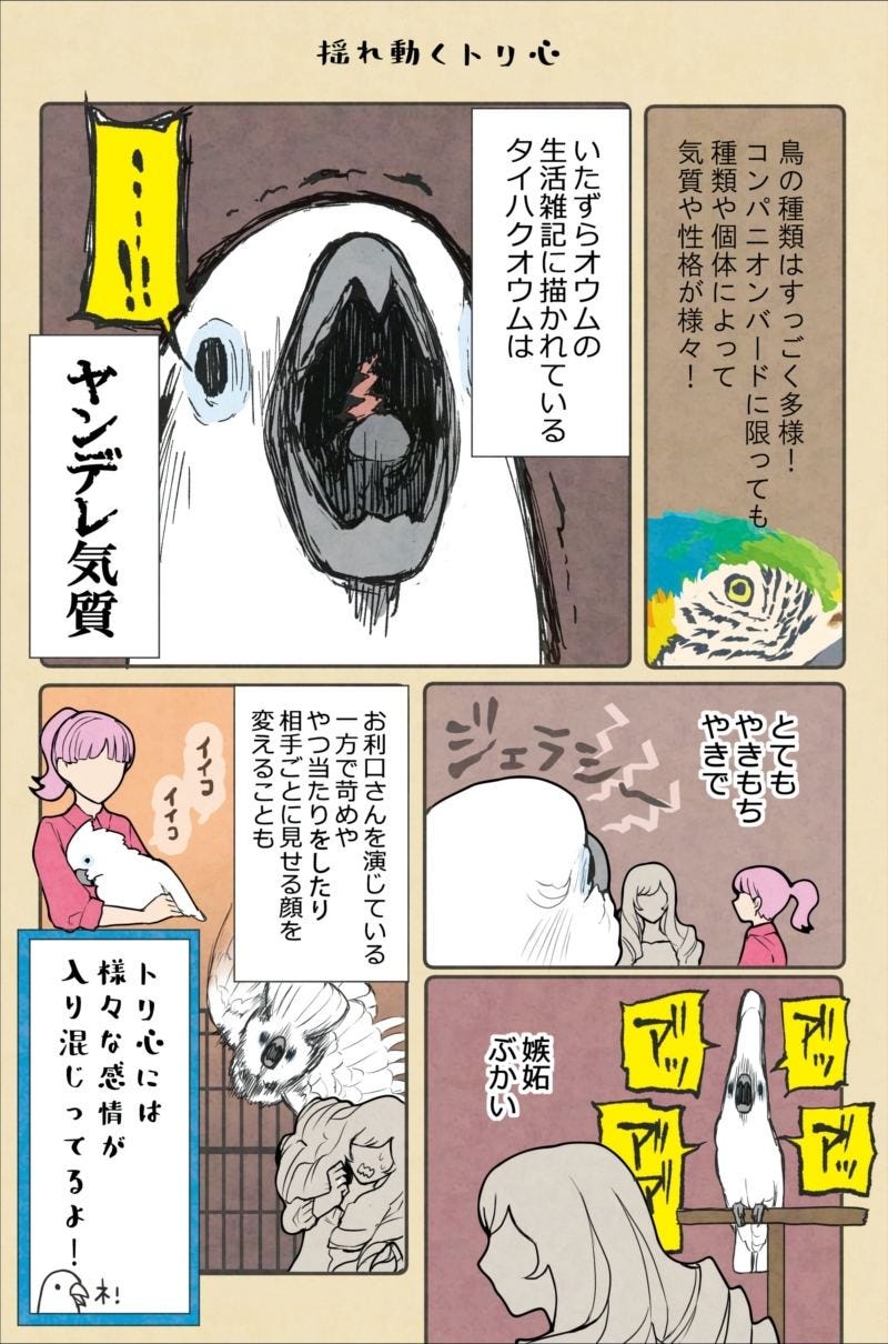 漫画 いたずらオウムの生活雑記 980 番外編 揺れ動くトリ心 マイナビニュース