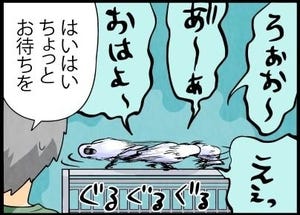 連載 漫画 いたずらオウムの生活雑記 マイナビニュース