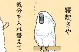 Iapp