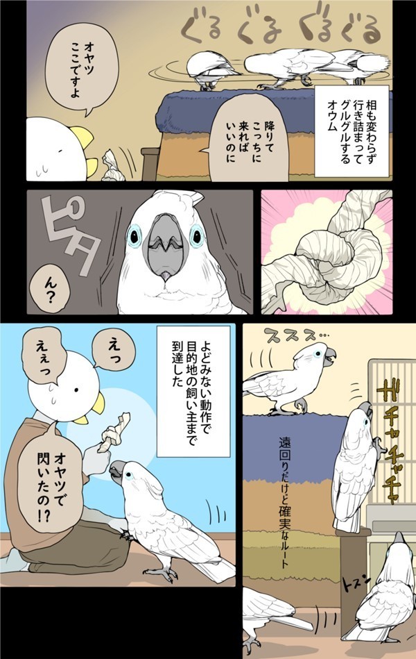 いたずらオウムの生活雑記 オウムは今日も考えている 全8冊 漫画