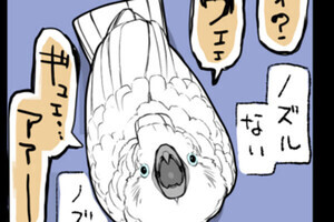 オウムは今日も考えている 第724回 もっと遊びたい