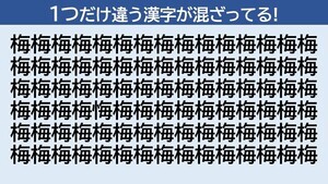 脳トレクイズ 第22回 「梅」に隠れた仲間外れの漢字はどーこだ!?