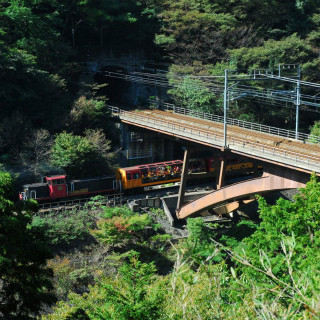 関西オモシロ鉄道の旅 第28回 京都の紅葉シーズン到来! 嵯峨野観光鉄道のトロッコ列車