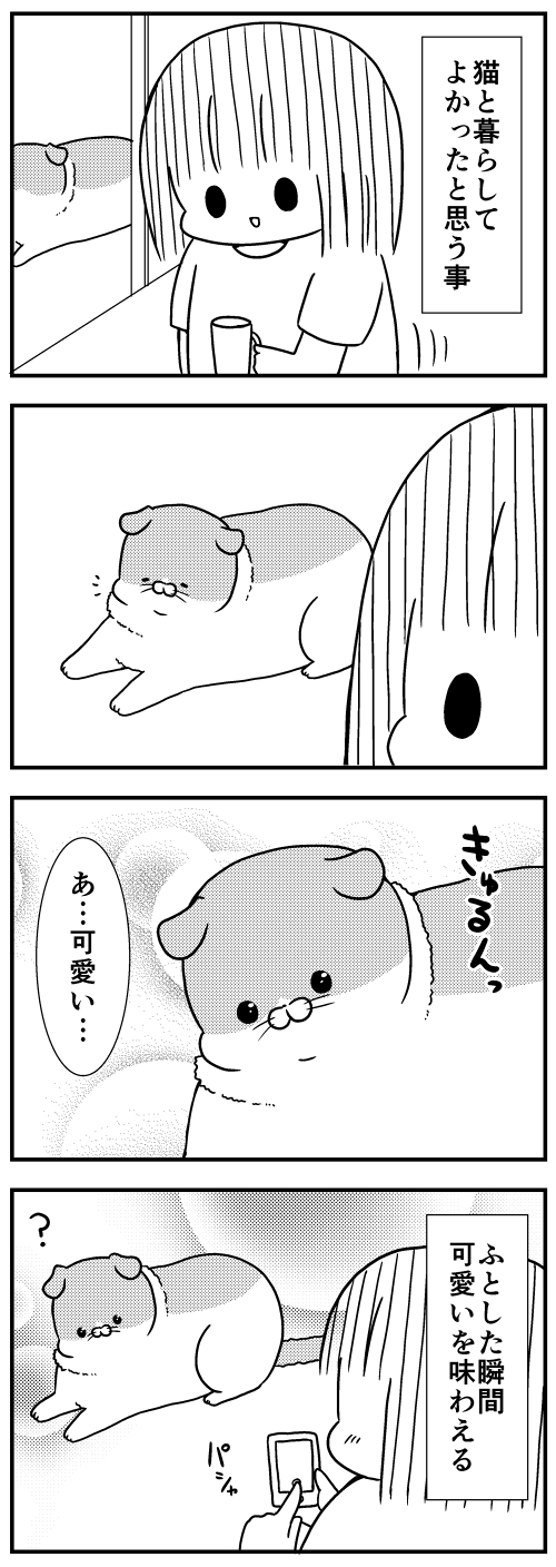 猫のきにゃと、ごとうさん
