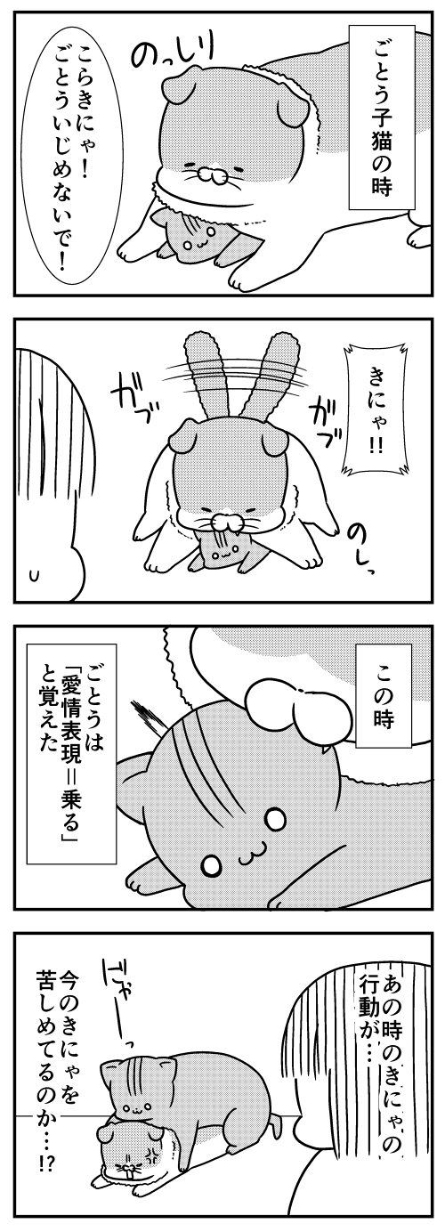猫のきにゃと、ごとうさん
