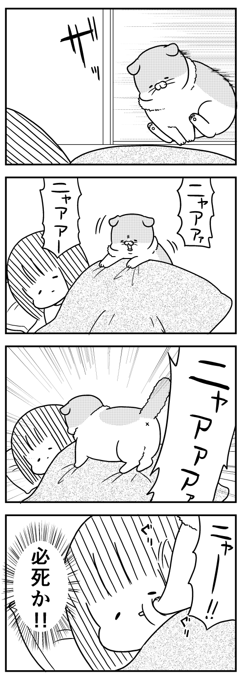 猫のきにゃと、ごとうさん