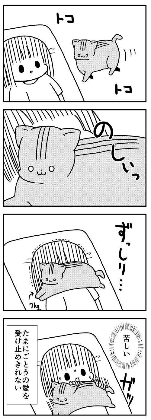 猫のきにゃと、ごとうさん　漫画