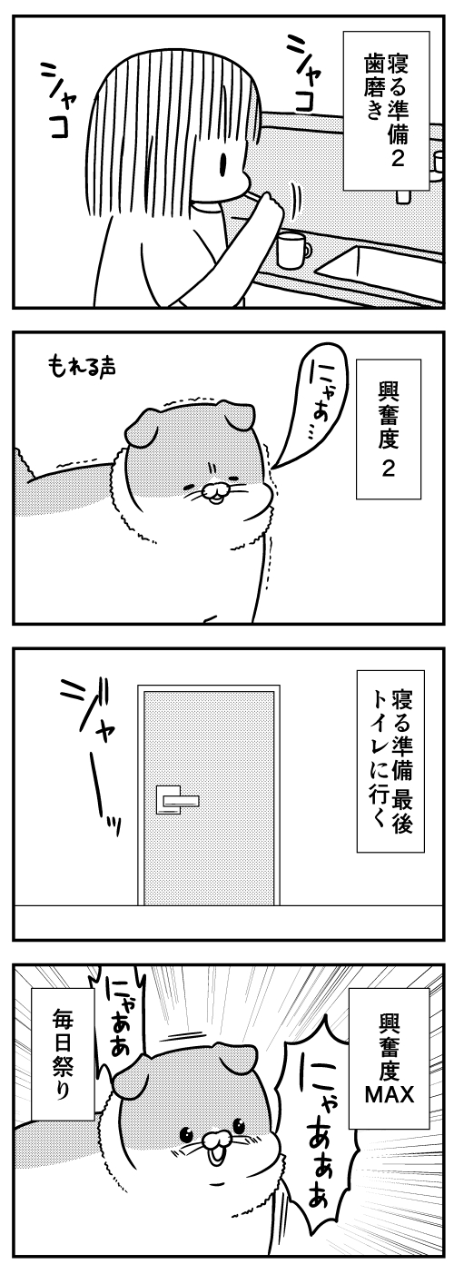 猫のきにゃと、ごとうさん　漫画