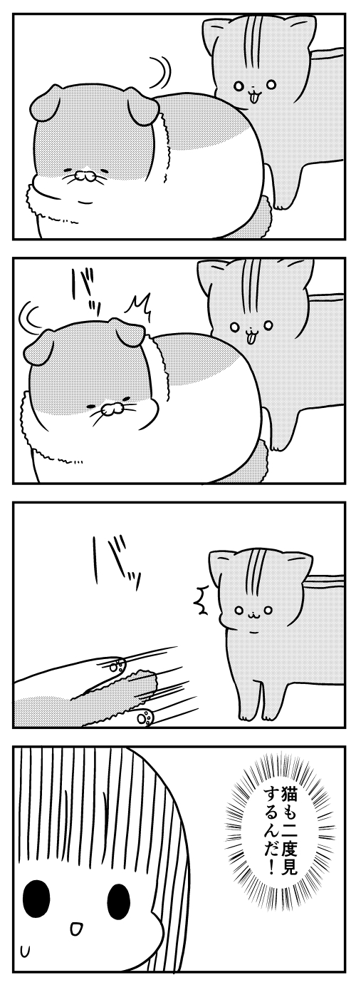 猫のきにゃと、ごとうさん　漫画