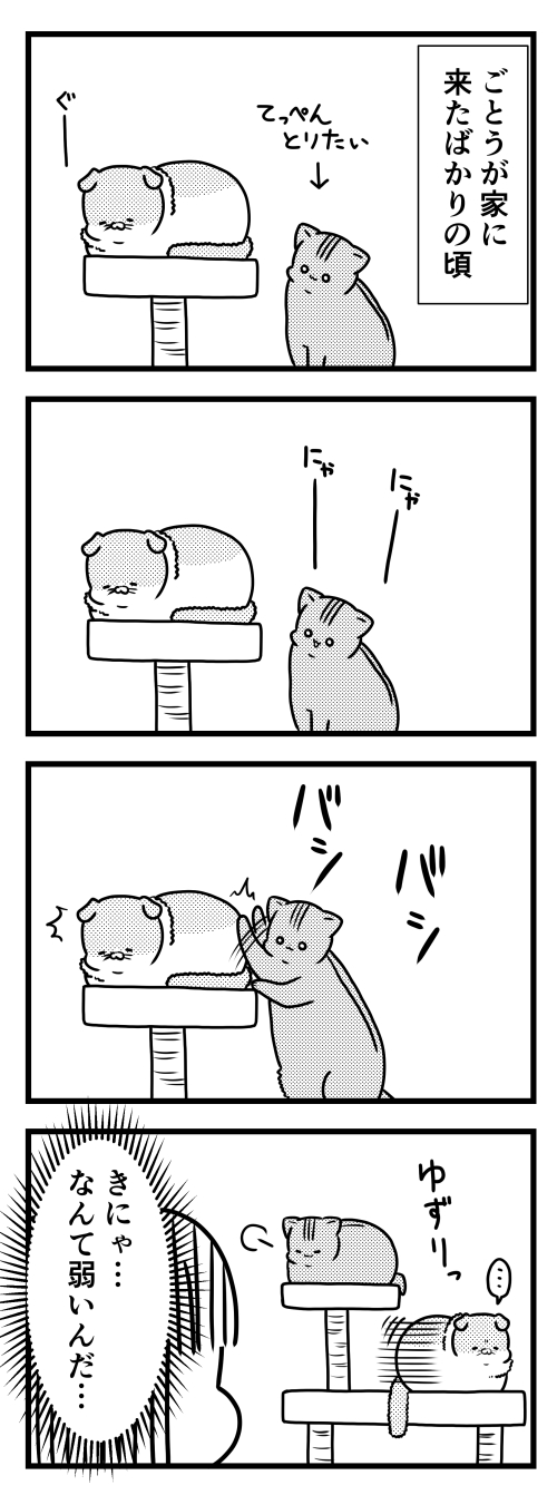 猫のきにゃと、ごとうさん　漫画