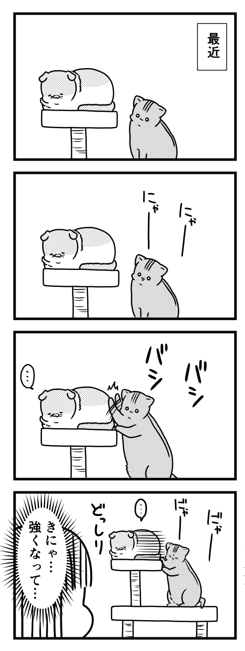 猫のきにゃと、ごとうさん　漫画