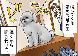 犬との暮らし「あるある」 第1回 【漫画】突然「ビシッ」とスタンバイしていると思ったら……