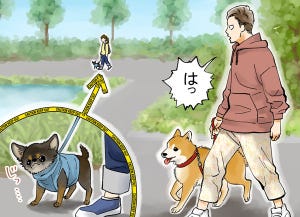 犬との暮らし「あるある」 第3回 【漫画】愛犬のために散歩コースを真剣に考える