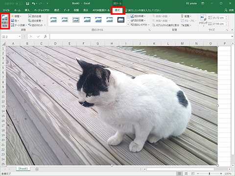 Excel 挿入した写真の背景を切り抜く 仕事に役立つofficeの使い方 25 マイナビニュース