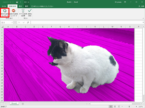 Excel 挿入した写真の背景を切り抜く 仕事に役立つofficeの使い方 25 マイナビニュース