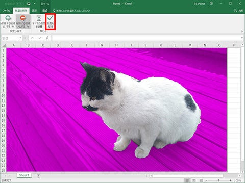 Excel 挿入した写真の背景を切り抜く 仕事に役立つofficeの使い方 25 マイナビニュース