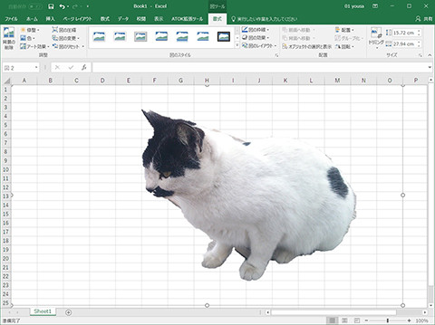 Excel 挿入した写真の背景を切り抜く 仕事に役立つofficeの使い方 25 マイナビニュース