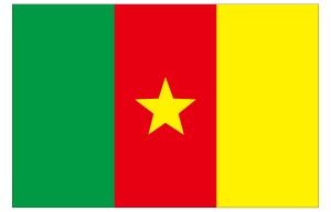 国旗当てクイズ 第18回 【3択】この国旗は…マリ? セネガル? それともカメルーン?