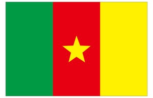 国旗当てクイズ 第5回 【3択】この国旗は…カメルーン? セネガル? それともギニア?
