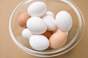 【特集】社会人が効率よくヘルシーにダイエットする方法 第2回 卵を毎日食べて痩せる? 栄養効果を解説