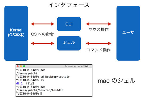 Pythonで学ぶ 基礎からのプログラミング入門 15 Pythonをシェルスクリプトのように使ってみよう 前編 Tech