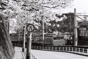昭和の残像 鉄道懐古写真 第7回 1年に1回だけの貴重なシャターチャンス、満開の桜と旧型たち