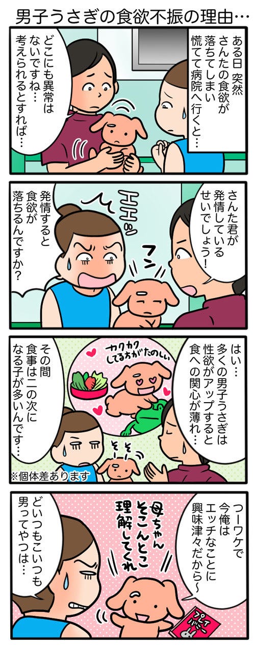 さんたとポレの後ろ足日記 18 うさぎのオスも 男 だという事実 マイナビニュース