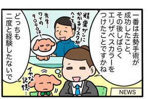 さんたとポレの後ろ足日記 第31回 2020年をペットと振り返る