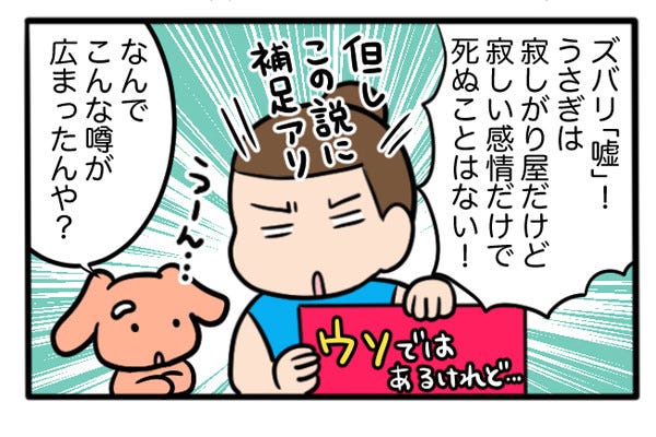 さんたとポレの後ろ足日記 32 うさぎは 寂しいと死ぬ という都市伝説 マイナビニュース