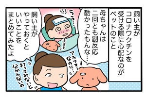 さんたとポレの後ろ足日記 第49回 ワクチン接種とペットの世話